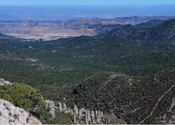 ¡Sierra de San Miguelito gana protección! Ordenan emisión inmediata de un programa de manejo del área natural protegida