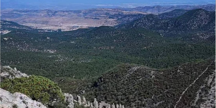 ¡Sierra de San Miguelito gana protección! Ordenan emisión inmediata de un programa de manejo del área natural protegida