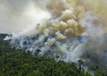 El fuego devora el Pantanal, el mayor refugio de jaguares del mundo