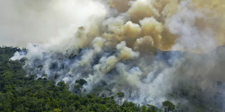 El fuego devora el Pantanal, el mayor refugio de jaguares del mundo