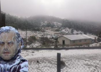 México tendrá el invierno menos frío en 30 años: SMN