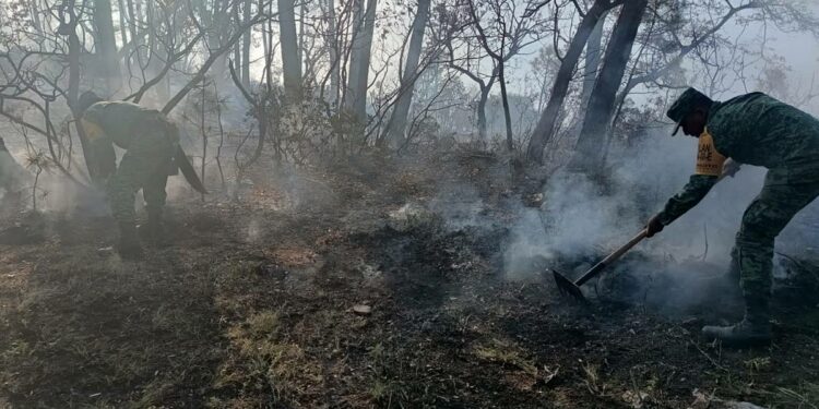 Ejército lucha contra incendio forestal en la zona más alta de Tamaulipas