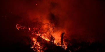 México enfrenta una ola de incendios forestales con más de 100 focos activos