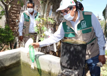 Autoridades de Tamaulipas reportan 82 casos de dengue y exhortan a la prevención