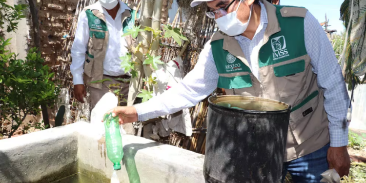 Autoridades de Tamaulipas reportan 82 casos de dengue y exhortan a la prevención