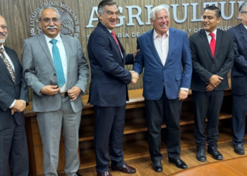 Secretario de Agricultura Promete Respuesta Pronta a Productores de Sorgo en Tamaulipas