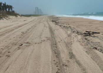 Investiga Procuraduría Ambiental y Urbana presencia de hidrocarburo en playa Miramar y Tesoro.