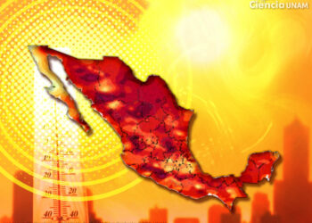 Alerta de Ola de Calor en México: Prepárate para Temperaturas Extremas