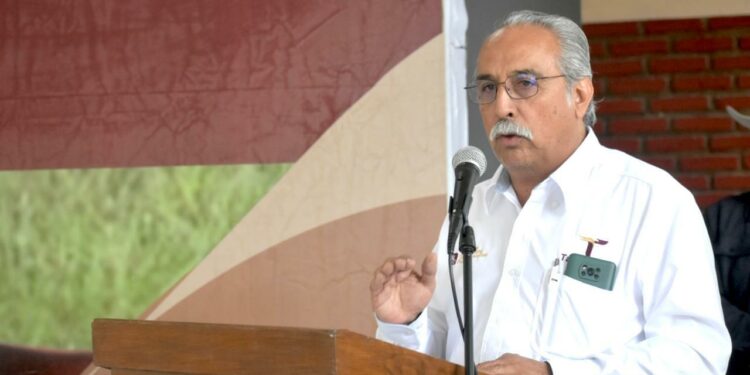 Ocupa Tamaulipas segundo lugar en producción de carbón