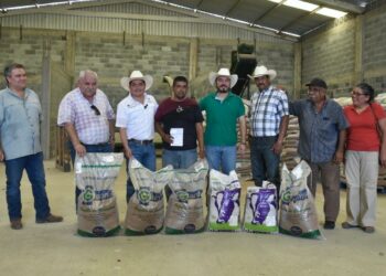 Productores de González reciben suplementos alimenticios para el ganado.