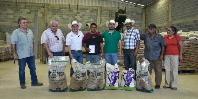 Productores de González reciben suplementos alimenticios para el ganado.