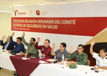 Define Comité Estatal de Seguridad en Salud estrategias para prevenir enfermedades