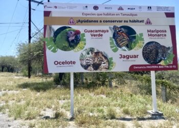 Coloca Comisión de Parques señalética para evitar atropellamientos de fauna