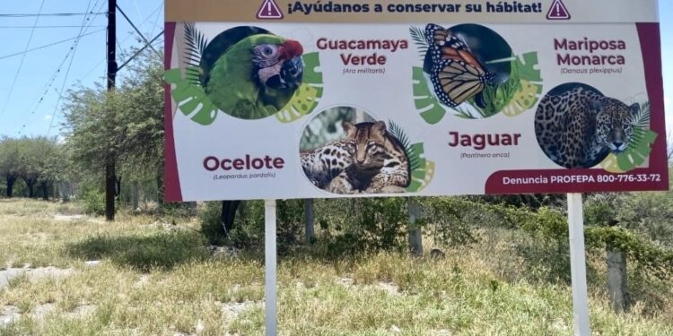 Coloca Comisión de Parques señalética para evitar atropellamientos de fauna
