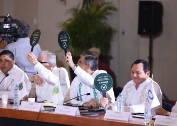 Participa gobernador Américo Villarreal en Consejo Nacional de Seguridad Pública