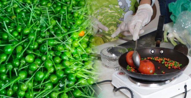 La UAT impulsa la preservación del chile piquín como símbolo de identidad regional