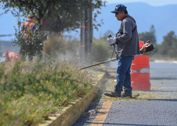 Municipio limpia y conserva 35 mil metros lineales de avenidas y jardines.