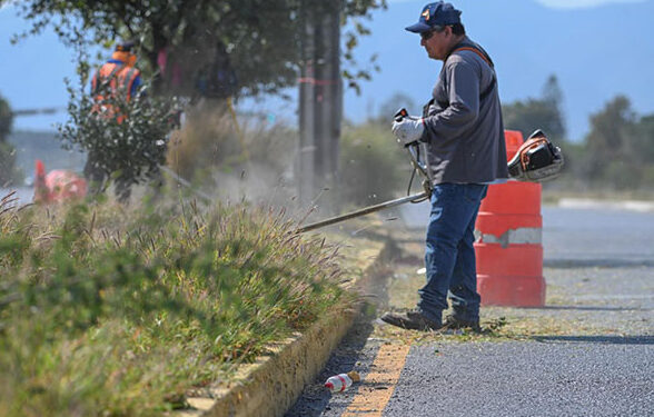 Municipio limpia y conserva 35 mil metros lineales de avenidas y jardines.