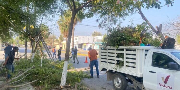 Fortalece municipio limpia y mantenimiento de vialidades y áreas verdes