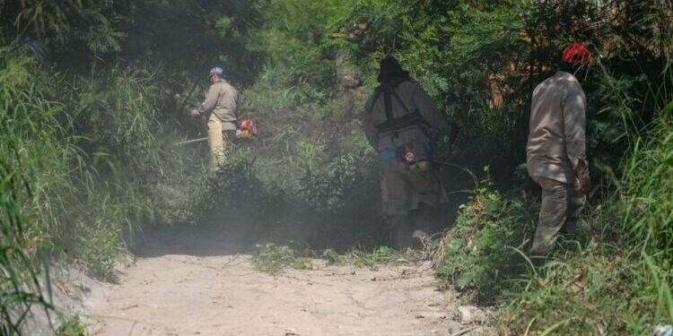 Limpian 37 kilómetros de drenes pluviales en Victoria.
