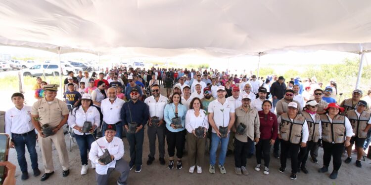 Transforman litoral tamaulipeco  con acciones que protegen y educan