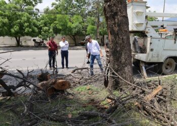 Supervisa “Lalo” Gattás labores de limpieza y corte de maleza en Victoria