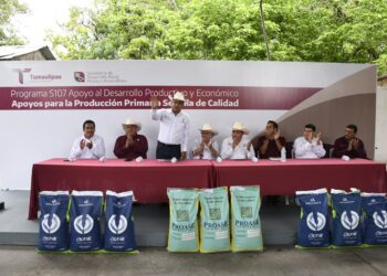 Fortalecen producción agrícola en Aldama, Altamira y González con entrega de semilla