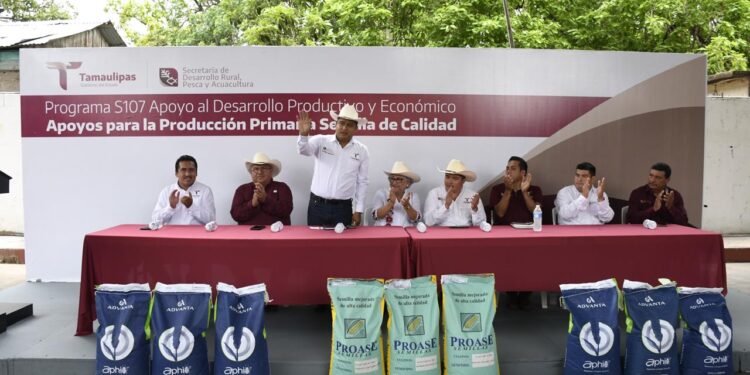 Fortalecen producción agrícola en Aldama, Altamira y González con entrega de semilla