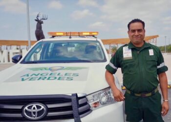 Al 078 o por aplicación, los Ángeles Verdes te  auxilian