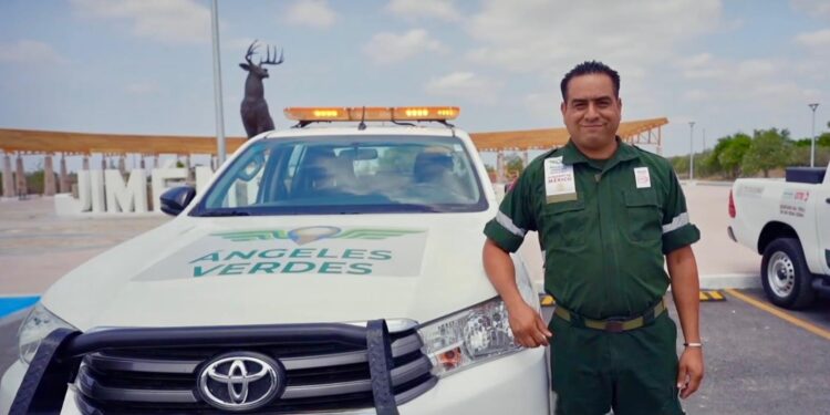 Al 078 o por aplicación, los Ángeles Verdes te  auxilian