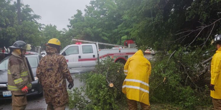 Activa Gobierno de Victoria acciones de auxilio ante intensa lluvia