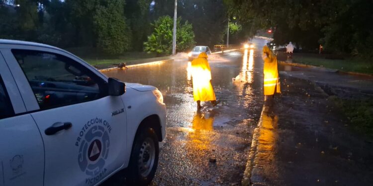 Reporta Protección Civil de Victoria saldo blanco tras lluvias