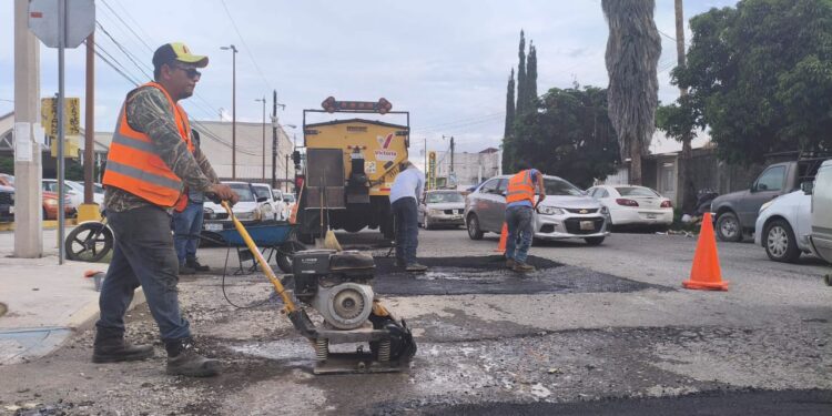 Gobierno de Victoria da a conocer rutas de bacheo para prevenir demoras.