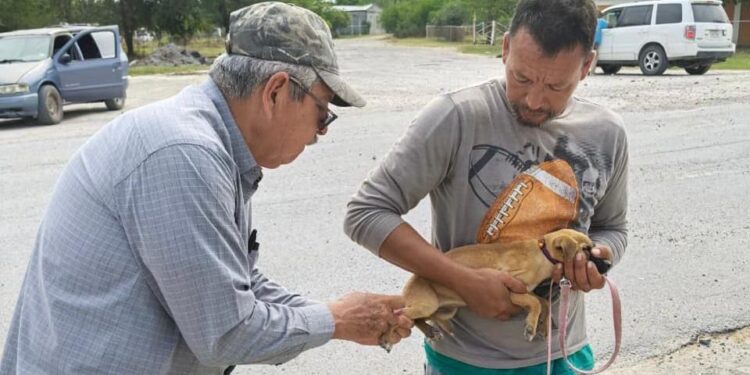 Realiza SST campaña preventiva para la detección de  rickettsiosis