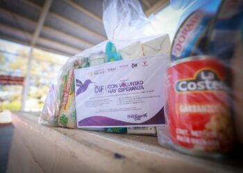 Entrega DIF Tamaulipas canastas alimentarias a población de atención prioritaria ante las  bajas temperaturas