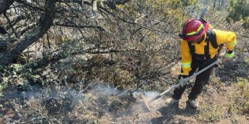 Refuerza Gobierno de Tamaulipas acciones coordinadas para el control de incendio forestal en Miquihuana
