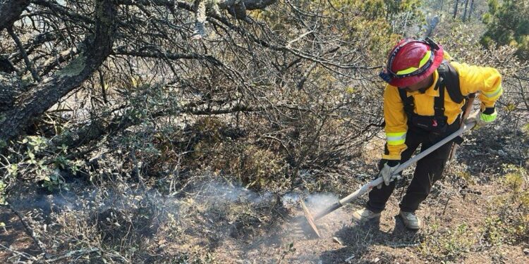 Refuerza Gobierno de Tamaulipas acciones coordinadas para el control de incendio  forestal en Miquihuana