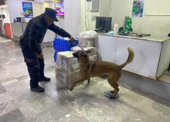 Guardia Estatal refuerza vigilancia con binomios caninos en la Central de Autobuses  de Victoria