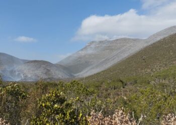 Inician labores de combate en incendio forestal en el ejido Joya de Herrera,  Bustamante
