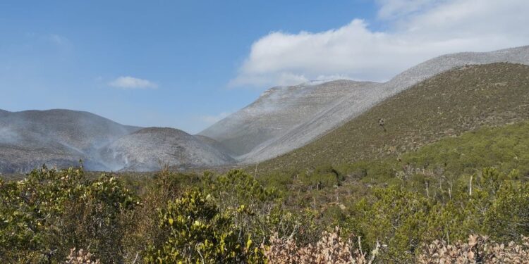Inician labores de combate en incendio forestal en el ejido Joya de Herrera,  Bustamante