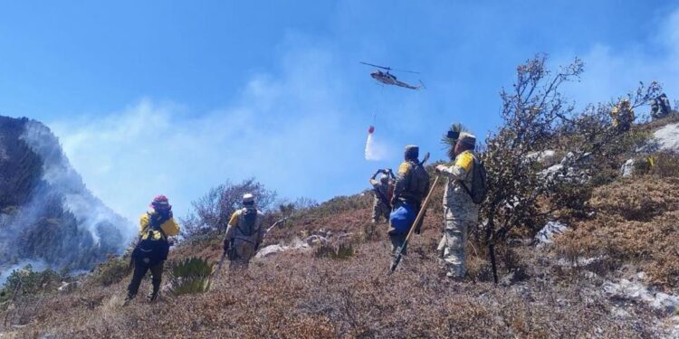 Controlado incendio forestal “Puerto del  Volcán” en Miquihuana
