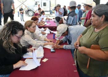 Impulsan productividad citrícola con apertura del Programa S107 2026