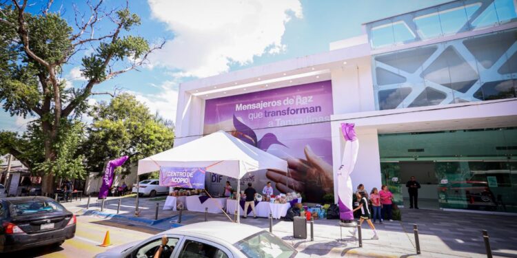 DIF Tamaulipas abre centro de acopio para apoyar a familias afectadas por los  sismos en Venezuela