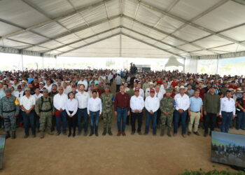 Tamaulipas participa en Jornada Nacional de Reforestación; se plantarán 15 mil árboles:  Américo