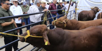En Tamaulipas se han destinado 545 MDP en apoyos al sector ganadero: Américo
